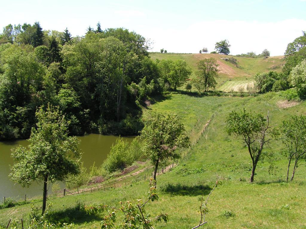 Gite De Carbonies Saint-Felix-de-Lunel Exterior photo